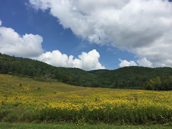 Cades Cove
