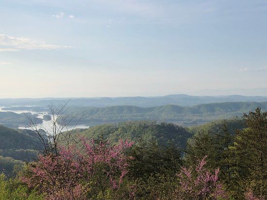 Veterans Overlook