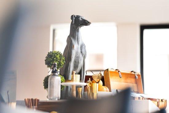 The Greyhound