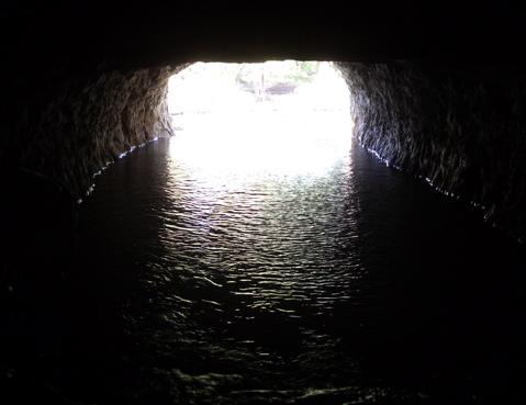Montgomery Bell Tunnel