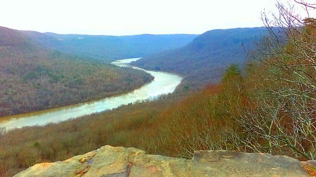 Prentice Cooper State Forest