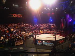 TNA Asylum