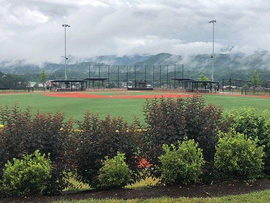 Ripken Baseball Experience