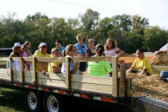 Shuckles Corn Maze & Pumpkin Patch
