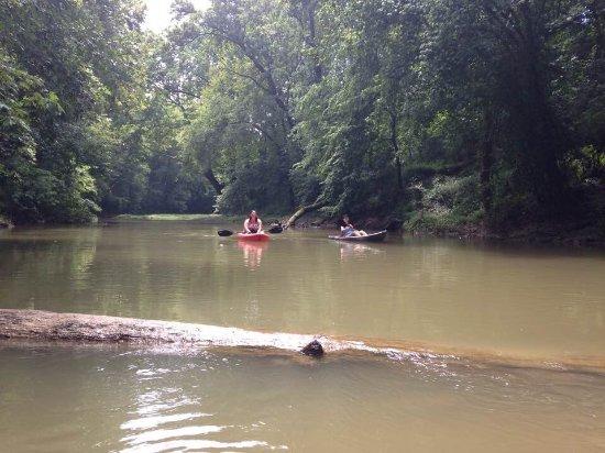 Paddle Dog Adventures