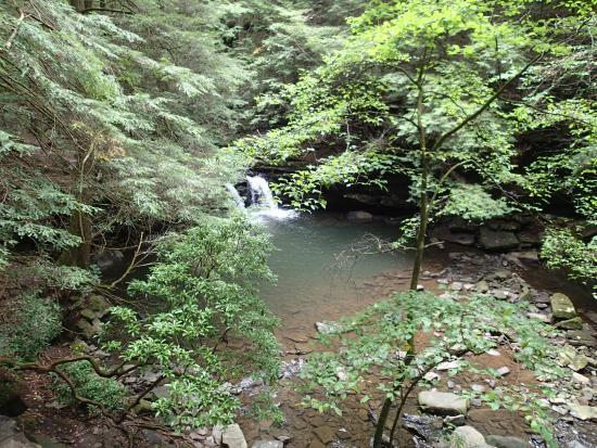 Fiery Gizzard Trail