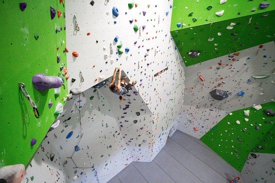 Onsight Rock Gym
