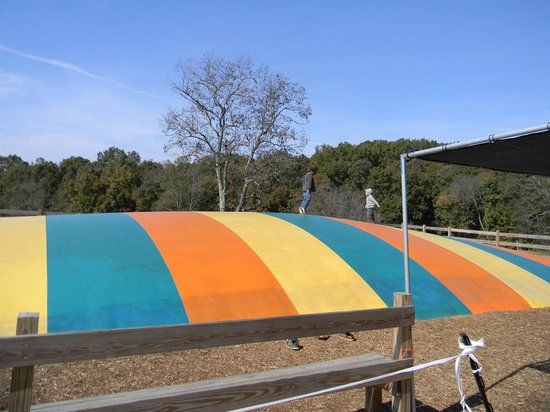 Grandaddy's Farm