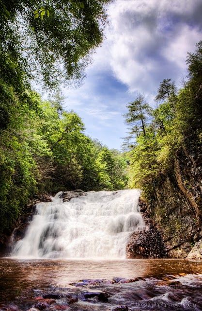 Laurel Falls Trailhead
