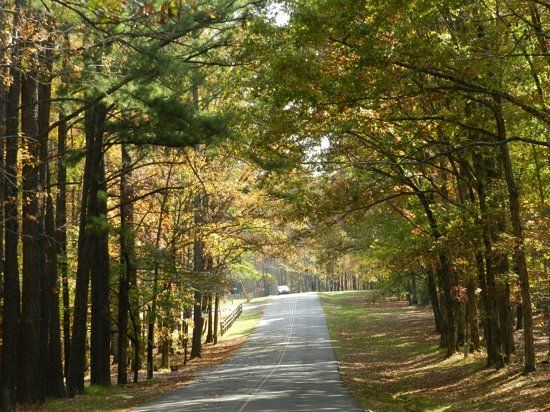 David Crockett State Park